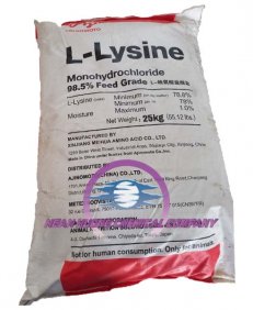 LYSINE